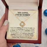 (Almost Gone) Apology Gift - My Love, I'm So Sorry